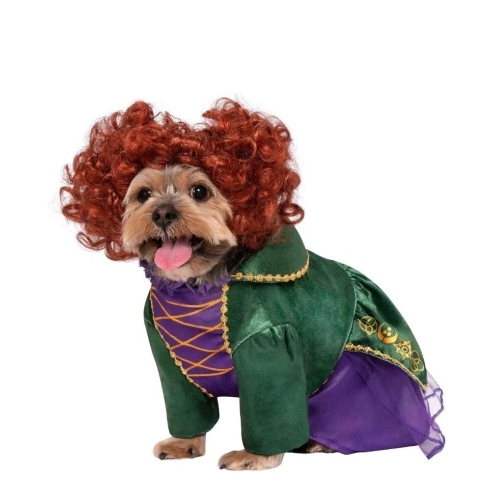 Hocus Pocus Winifred Sanderson Dog Costume Halloween Size Large Dress And Wig